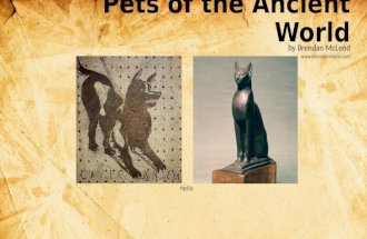 Pets of the Ancient World by Brendan McLeod  hello.