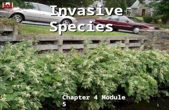 Invasive Species Chapter 4 Module 5 1. Invasive Species What are they? 1) non-native (or alien) to the ecosystem under consideration and 2) whose introduction.