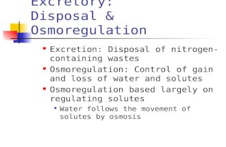 Excretory: Disposal & Osmoregulation Excretion: Disposal of nitrogen-containing wastes Osmoregulation: Control of gain and loss of water and solutes Osmoregulation.