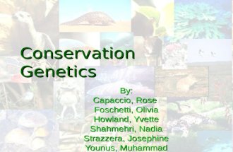 Conservation Genetics By: Capaccio, Rose Foschetti, Olivia Howland, Yvette Shahmehri, Nadia Strazzera, Josephine Younus, Muhammad.