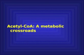 Acetyl-CoA: A metabolic crossroads. Your perspective?