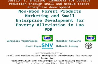 1 Non-Wood Forest Products Marketing and Small Enterprise Development for Poverty Alleviation in Lao PDR International Conference Small and Medium Forest.