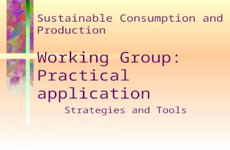 Sustainable Consumption and Production Working Group: Practical application Strategies and Tools.