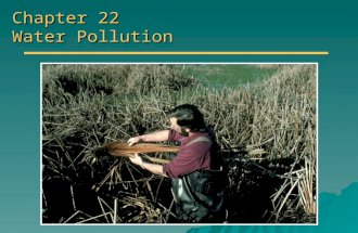 Chapter 22 Water Pollution. Overview of Chapter 22 o Types of Water Pollution Sewage Sewage Disease-causing agents Disease-causing agents Sediment pollution.