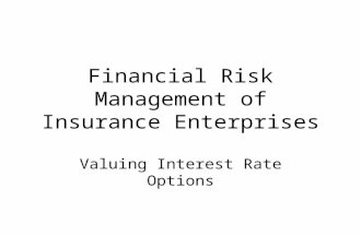 Financial Risk Management of Insurance Enterprises Valuing Interest Rate Options.