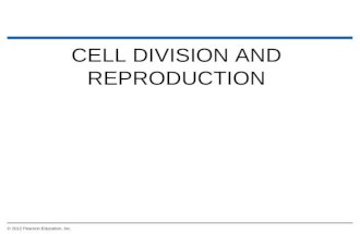 CELL DIVISION AND REPRODUCTION © 2012 Pearson Education, Inc.
