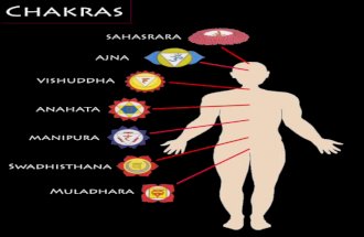 Short Chakra Video Introducing the Chakra’s (Judith) Muladhara Chakra.