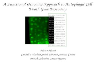 A Functional Genomics Approach to Autophagic Cell Death Gene Discovery Marco Marra Canada’s Michael Smith Genome Sciences Centre British Columbia Cancer.