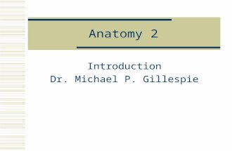 Anatomy 2 Introduction Dr. Michael P. Gillespie. Chapter 1 An Introduction to the Human Body.