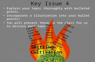 Key Issue 4 Explain your topic thoroughly with bulleted points. Incorporate a illustration into your bullet points! You will present these to the class.