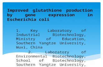 Improved glutathione production by gene expression in Escherichia coli 1. Key Laboratory of Industrial Biotechnology, Ministry of Education, Southern Yangtze.