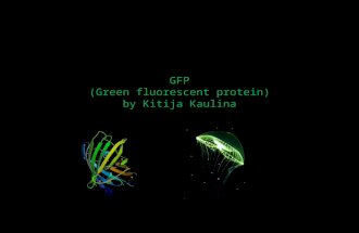 GFP (Green fluorescent protein) by Kitija Kaulina.