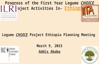 Progress of the First Year Legume CHOICE Project Activities In- Ethiopia Legume CHOICE Project Ethiopia Planning Meeting March 9, 2015 Addis Ababa.