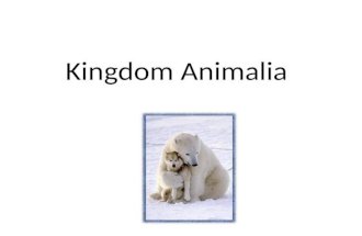 Kingdom Animalia. Review of the Six Kingdoms Archaebacteria Eubacteria Protista Fungi Plantae Animalia.
