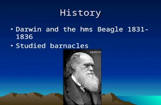 History Darwin and the hms Beagle 1831-1836 Studied barnacles.