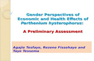 Gender Perspectives of Economic and Health Effects of Parthenium hysterophorus: A Preliminary Assessment Agajie Tesfaye, Rezene Fissehaye and Taye Tessema.