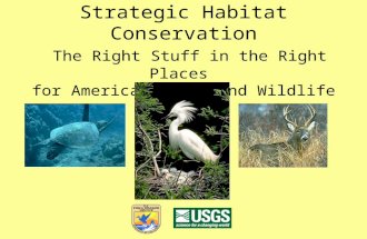 Strategic Habitat Conservation The Right Stuff in the Right Places for America’s Fish and Wildlife.
