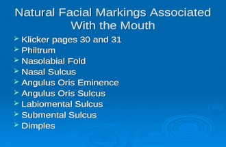 Natural Facial Markings Associated With the Mouth  Klicker pages 30 and 31  Philtrum  Nasolabial Fold  Nasal Sulcus  Angulus Oris Eminence  Angulus.