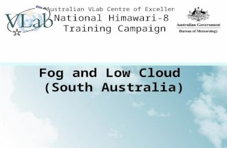 Australian VLab Centre of Excellence National Himawari-8 Training Campaign Fog and Low Cloud (South Australia)