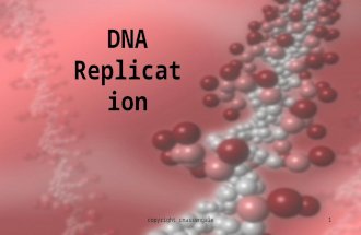 1 DNA Replication copyright cmassengale. 2 Anti- Parallel Strands of DNA.
