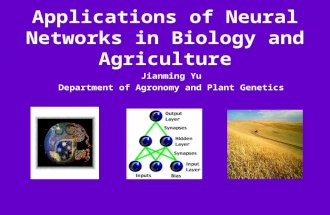 Applications of Neural Networks in Biology and Agriculture Jianming Yu Department of Agronomy and Plant Genetics.