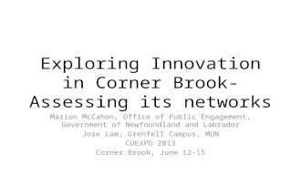 Exploring Innovation in Corner Brook- Assessing its networks Marion McCahon, Office of Public Engagement, Government of Newfoundland and Labrador Jose.