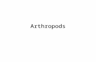 Arthropods. VIII. Phylum Arthropoda By nearly any measure, the most successful animals on the planet are the arthropods. They have conquered land, sea.