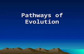 Pathways of Evolution. Divergent & Convergent Pathways Divergent Evolution Two or more species evolve increasingly different traits. Disruptive selection.