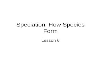 Speciation: How Species Form Lesson 6. SPECIATION Microevolution: changes in allele frequencies and phenotypic traits within populations and species;