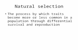 Natural selection The process by which traits become more or less common in a population through differential survival and reproduction.