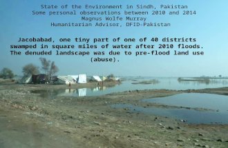 Jacobabad, one tiny part of one of 40 districts swamped in square miles of water after 2010 floods. The denuded landscape was due to pre-flood land use.