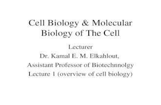 Cell Biology & Molecular Biology of The Cell Lecturer Dr. Kamal E. M. Elkahlout, Assistant Professor of Biotechnnolgy Lecture 1 (overview of cell biology)