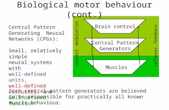 Biological motor behaviour (cont.) Central Pattern Generating Neural Networks (CPGs): Small, relatively simple neural systems with well-defined units,