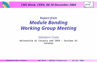 CMS Week, CERN, 06-10 December 2004 09 Dec 2004CMS Week - Module ProductionSalvatore Costa - Catania Report from Module Bonding Working Group Meeting Salvatore.