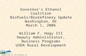 Governor’s Ethanol Coalition Biofuels/Biorefinery Update Washington, DC March 1, 2006 William F. Hagy III Deputy Administrator, Business Programs USDA.