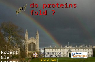 Do proteins fold ? Robert Glen Dmitry Nerukh Rimini 2005.