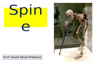 Spine Prof. Saeed Abuel Makarem. Spinal fractures Spinal fractures are different than a broken arm or leg. A fracture or dislocation of a vertebra can.