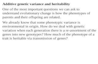 Additive genetic variance and heritability One of the most important questions we can ask to understand evolutionary change is how the phenotypes of parents.