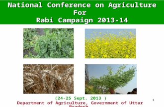 11 Department of Agriculture, Government of Uttar Pradesh (24-25 Sept. 2013 ) National Conference on Agriculture For Rabi Campaign 2013-14.