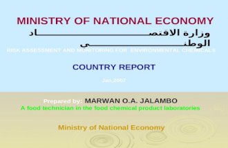 COUNTRY REPORT Jan,2007 MINISTRY OF NATIONAL ECONOMY وزارة الاقتصــــــــــــــــــــــــــــــــاد الوطنـــــــــــــــــــــــــــي
