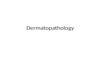 Dermatopathology. Outline Benign epithelial tumors Acne Keloids Disorders of pigmentation Disorders of sunlight exposure Chronic dermatoses Disorders.
