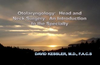 What is Otolaryngology  A medical and surgical subspecialty  Expert care of disorders of the Ear, Nose, Throat, Head and Neck  Attention to form and.