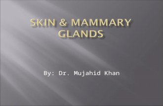 By: Dr. Mujahid Khan.  The skin is a membranous protective covering of the body  Is a complex organ system  It consists of two layers derived from.