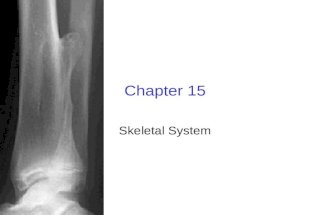 Chapter 15 Skeletal System. Provides support Allows for mobility Protects Vital Organs….your brain, spinal column, heart and lungs Produces blood cells.
