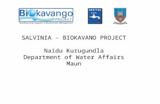 SALVINIA – BIOKAVANO PROJECT Naidu Kurugundla Department of Water Affairs Maun.