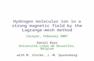 Hydrogen molecular ion in a strong magnetic field by the Lagrange-mesh method Cocoyoc, February 2007 Daniel Baye Université Libre de Bruxelles, Belgium.