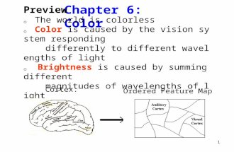 1 Chapter 6: Color Preview 。 The world is colorless 。 Color is caused by the vision system responding differently to different wavelengths of light 。 Brightness.