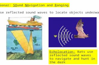 Sonar: SOund NAvigation and Ranging Ships use reflected sound waves to locate objects underwater Echolocation: Bats use reflected sound waves to navigate.