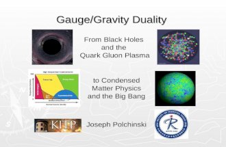 Gauge/Gravity Duality Joseph Polchinski From Black Holes and the Quark Gluon Plasma to Condensed Matter Physics and the Big Bang.