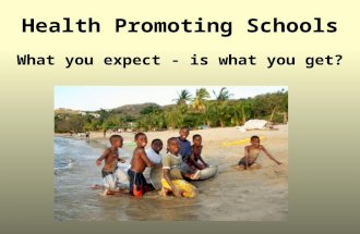 Health Promoting Schools What you expect - is what you get?